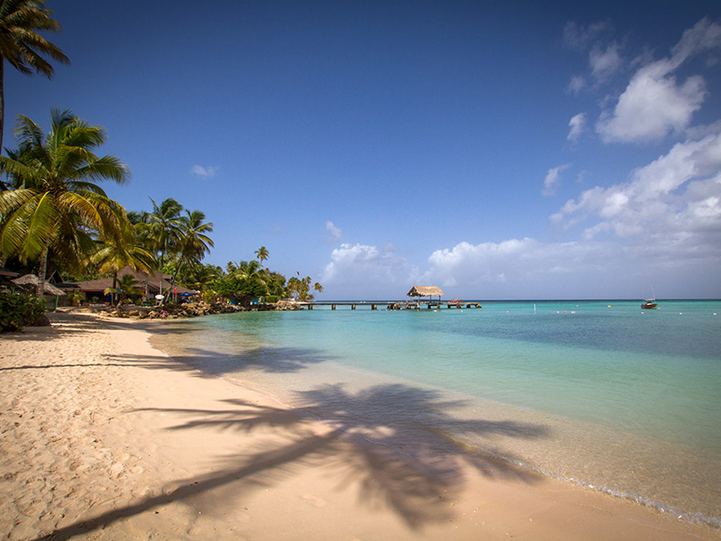 The Bungalow at Pigeon Point