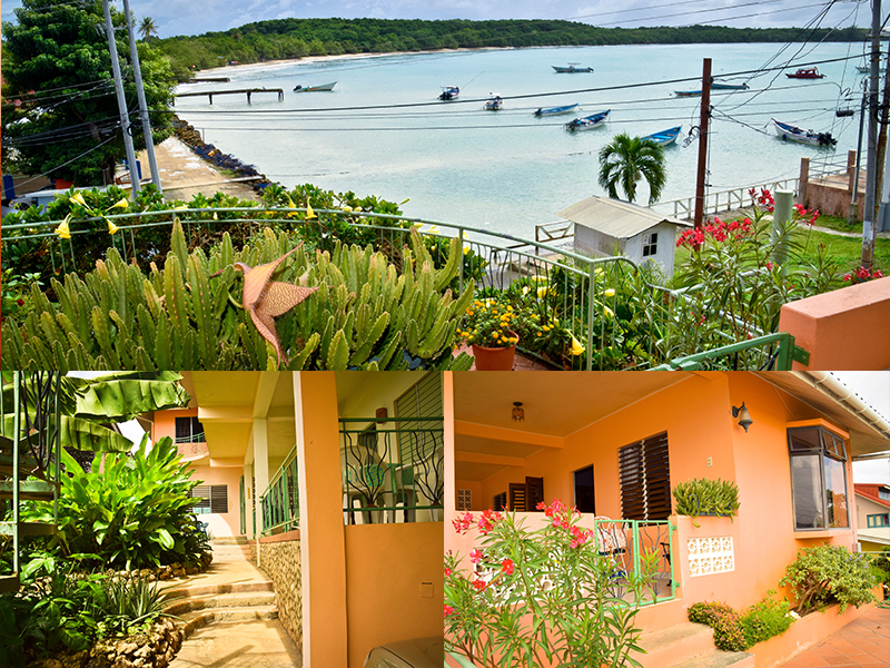 The Seaside Garden Guesthouse