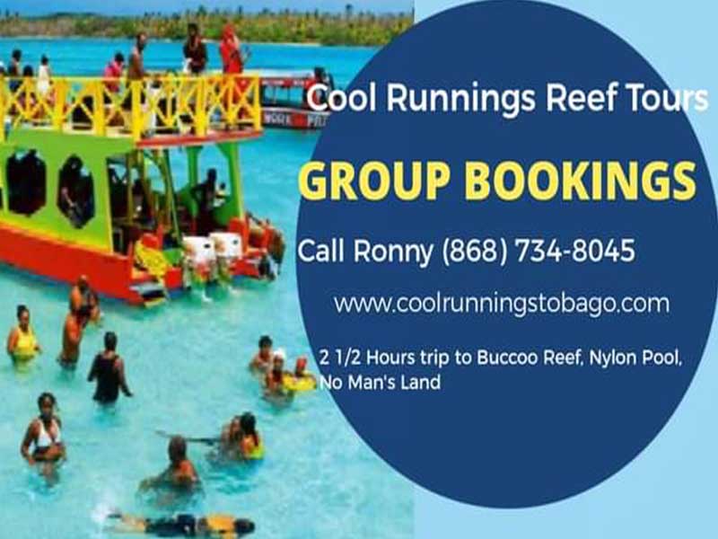 Cool Runnings Reef Tours