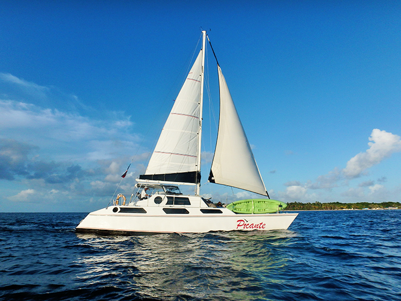 Sailing Catamaran PICANTE